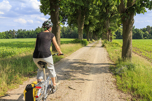 AdobeStock_93112178750px